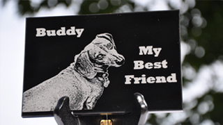 Acrylic Pet Photo