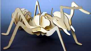 3D Wood Ant Puzzle