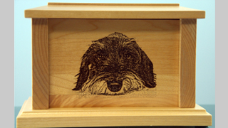 Pet Urn