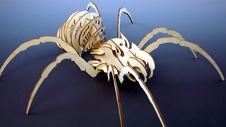 3D Spider Puzzle